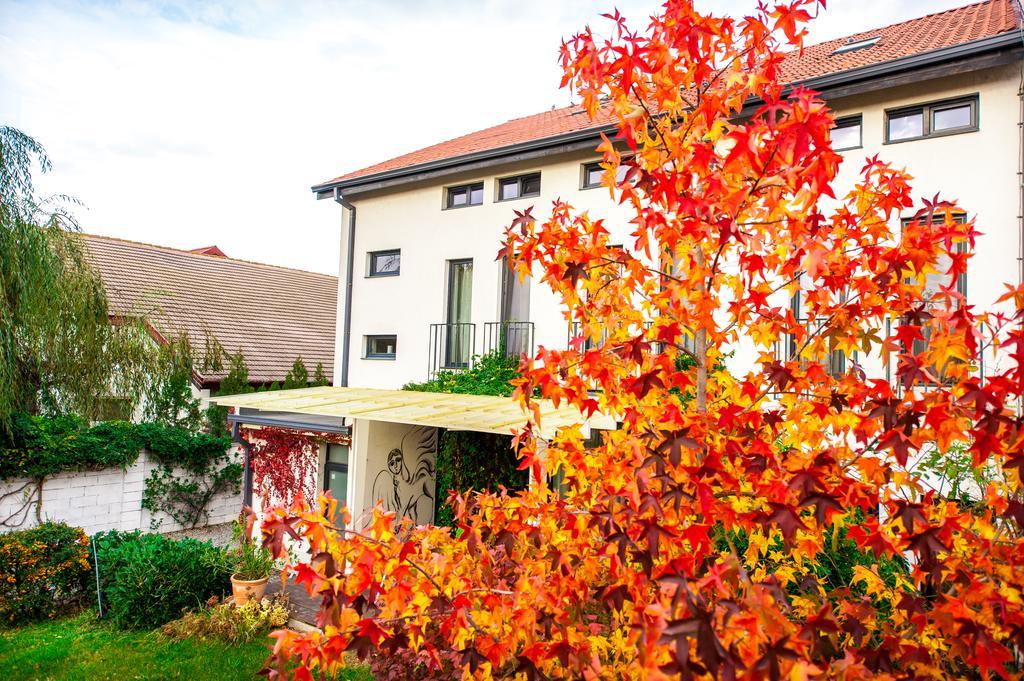 May Residence Dumbravita  외부 사진