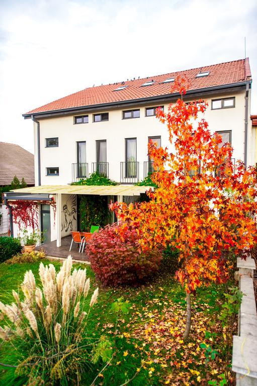 May Residence Dumbravita  외부 사진