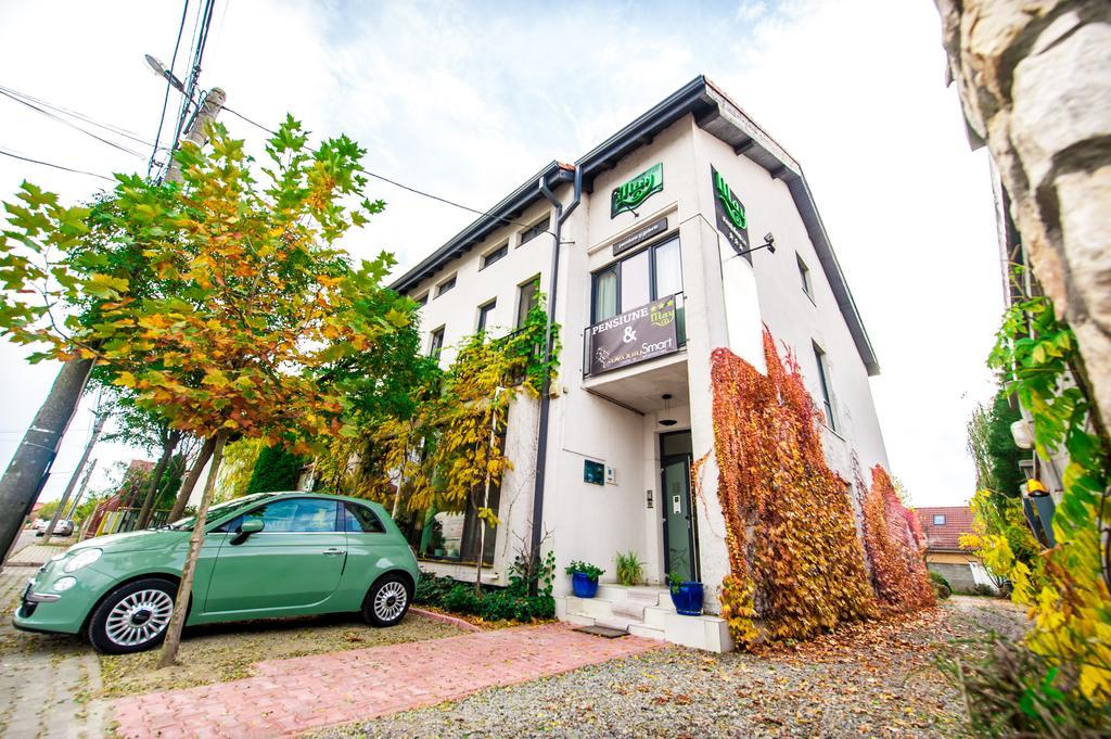 May Residence Dumbravita  외부 사진