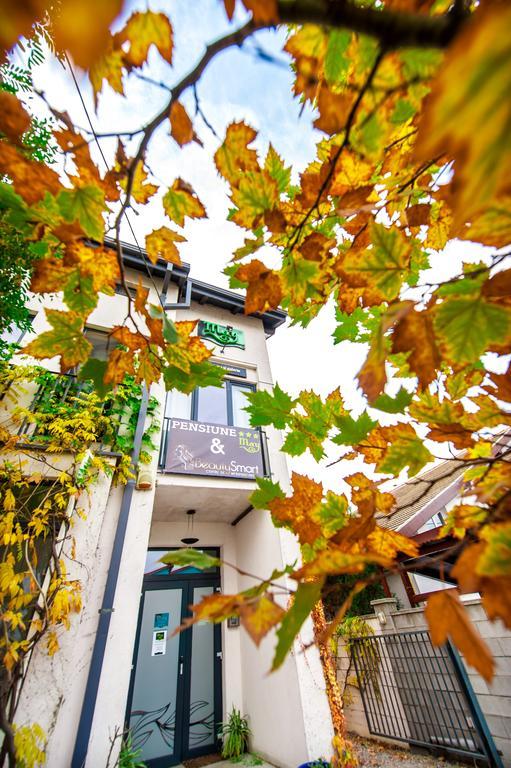 May Residence Dumbravita  외부 사진